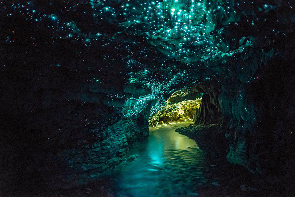Waitomo-Glowworm-Caves-une-grotte-recouverte-de-vers-luisants-en-Nouvelle-Zélande