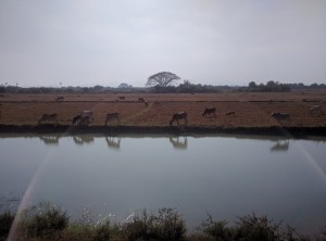 IMG 20170222 154029 (1)