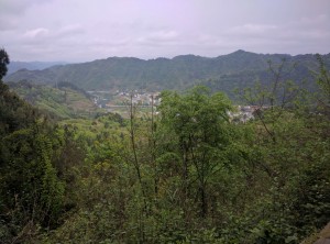 IMG 20170417 153803 (Copier)