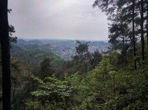 IMG 20170417 155200 (Copier)