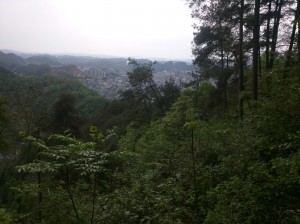 IMG 20170417 155209 (Copier)